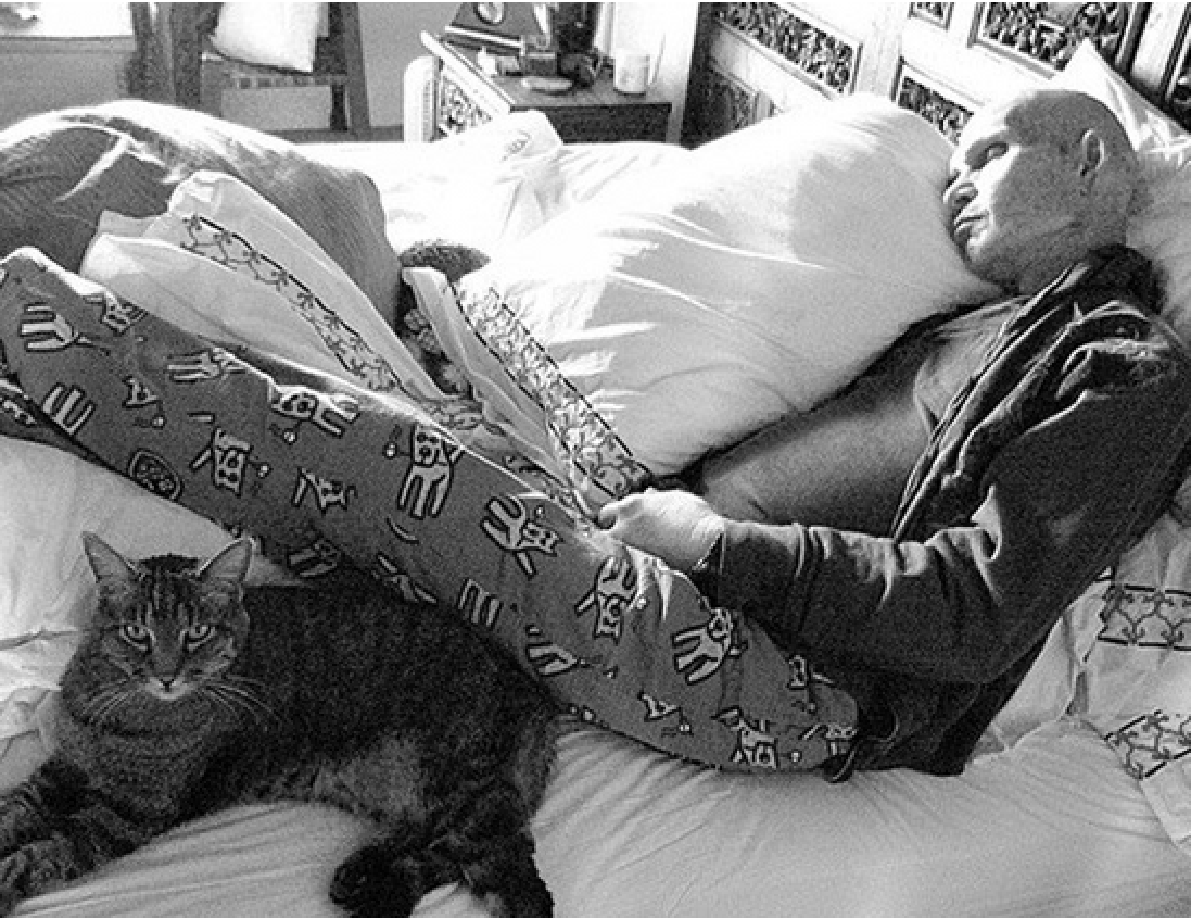 Одно из последних фото