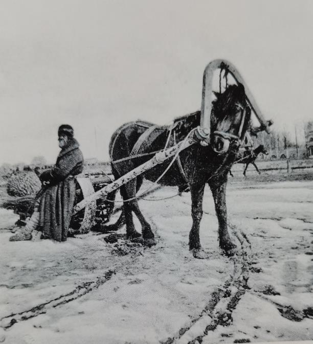 Торговец куриными гнёздами