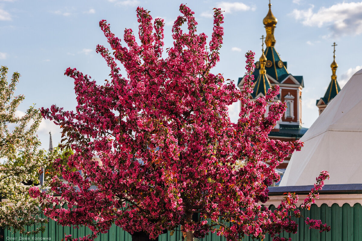 Кремль, ул Болотникова