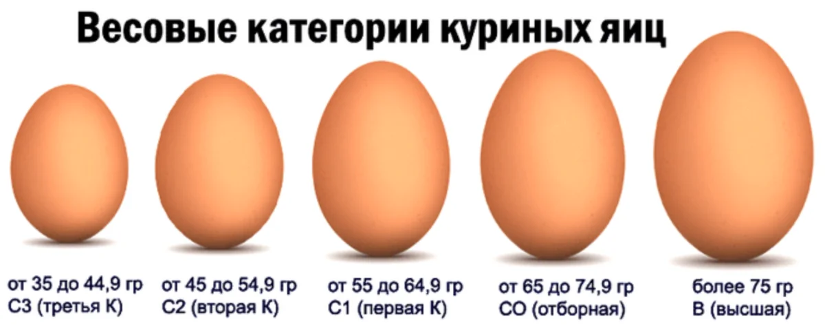 Чем отличаются яйца с0 от с2. Размер яиц куриных с1 с2 с0. Яйцо 1 категории. Категории яиц куриных с0. Яйца категория с2 вес яйца.