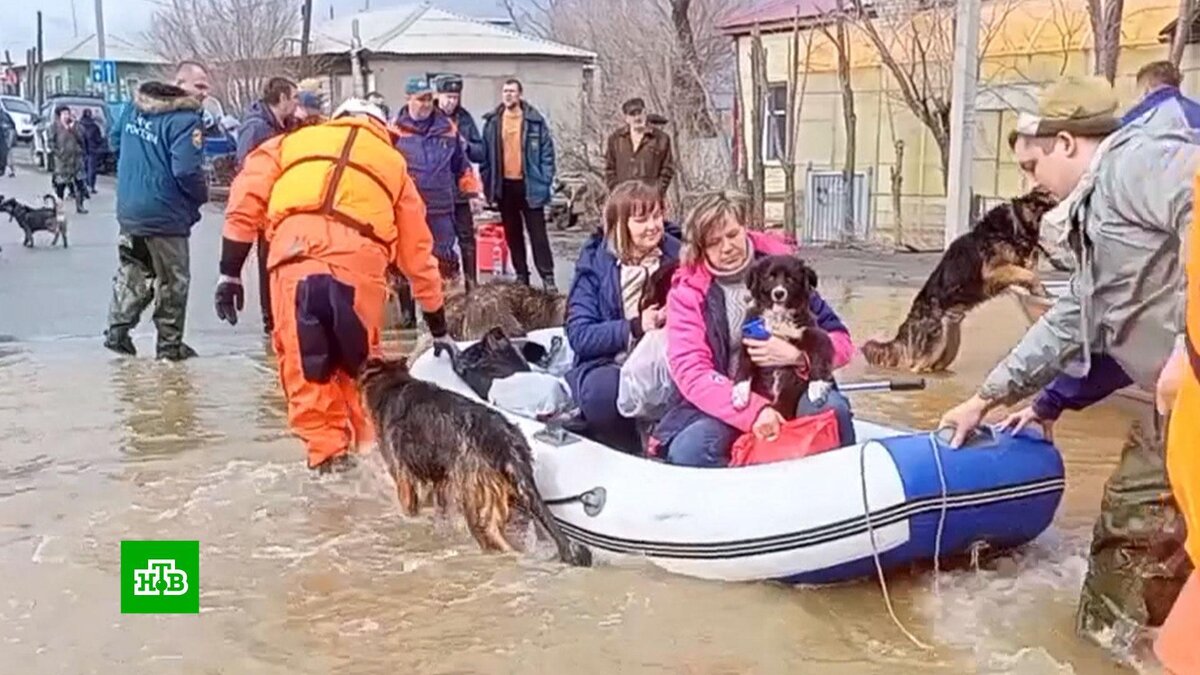    В подтопленном Оренбурге готовится принудительная эвакуация жителей