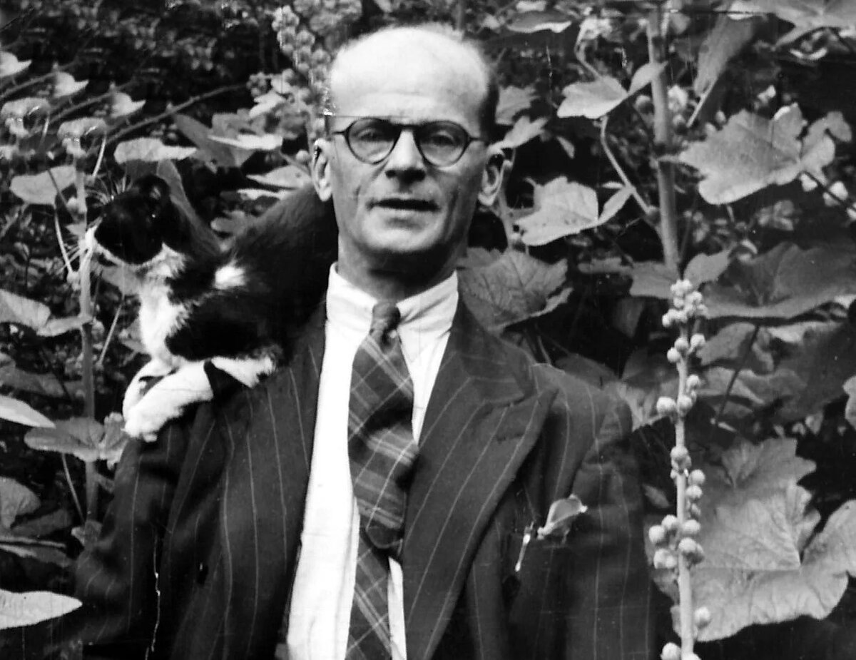 Солонович кристи (45 фотo)