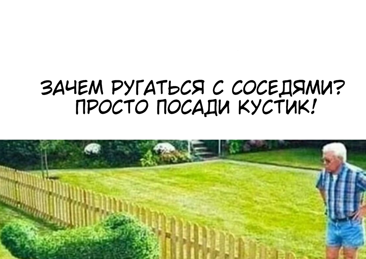 Источник: google.com 