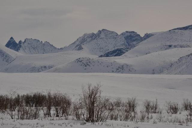 
верховья реки Уссы в Пай-Хое.