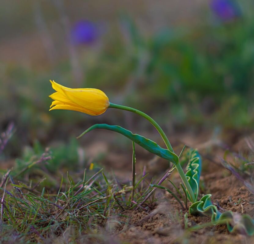 Фото: Л. Филоненко 