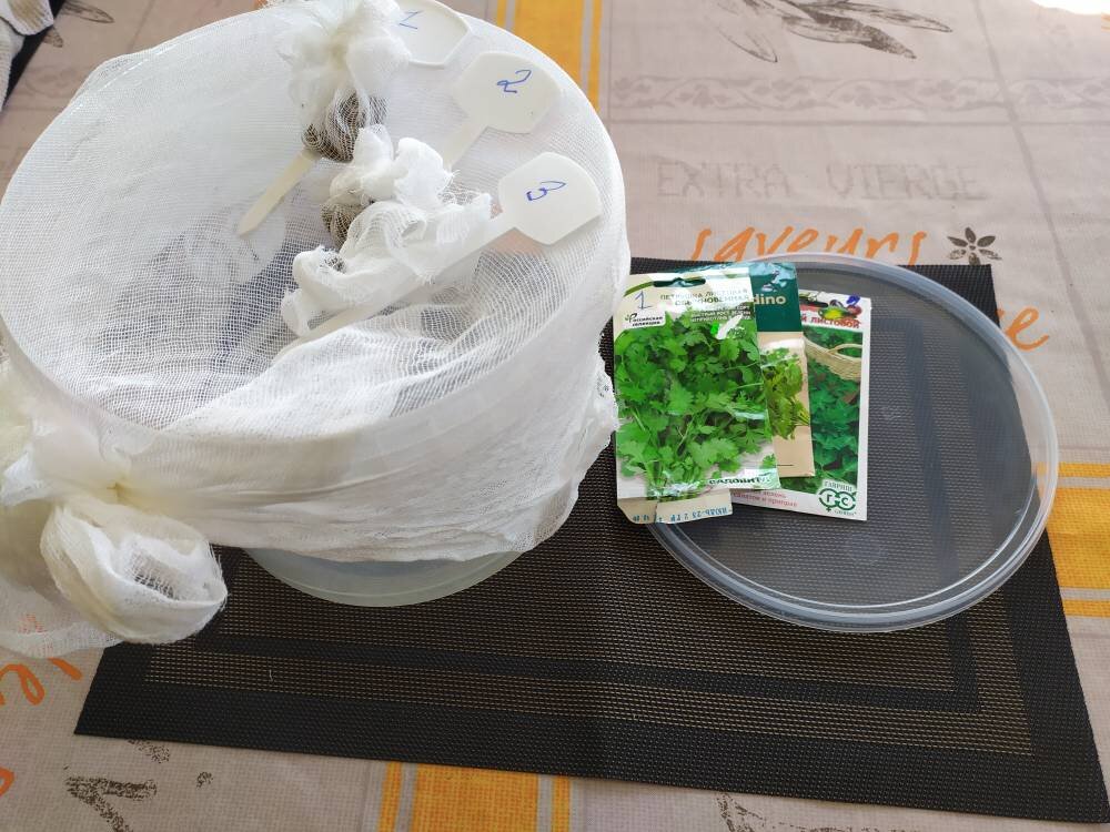 Способ 6  подходит для многих семян