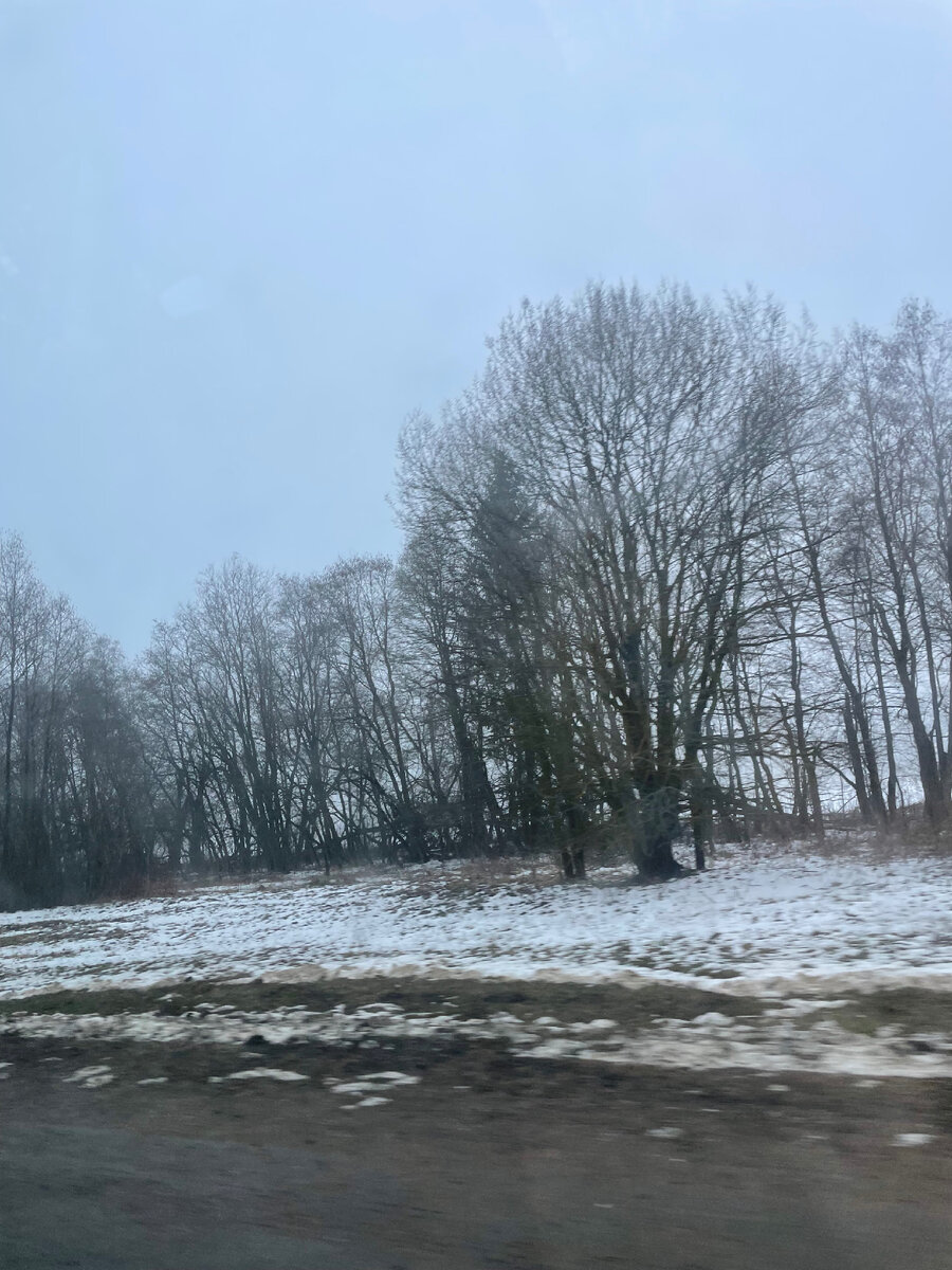 Фото из окна такси, пока еду в Кингисепп