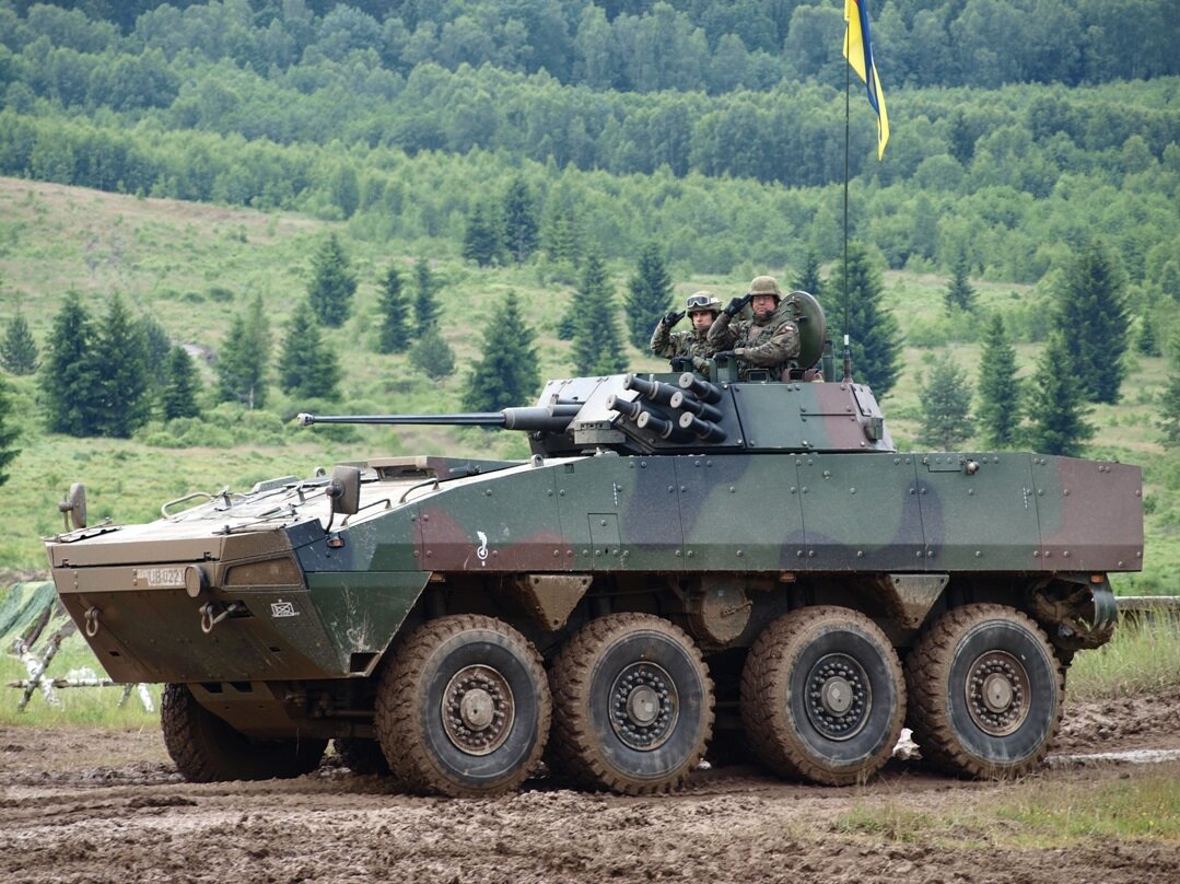 БТР "Rosomak", 17-я бригада