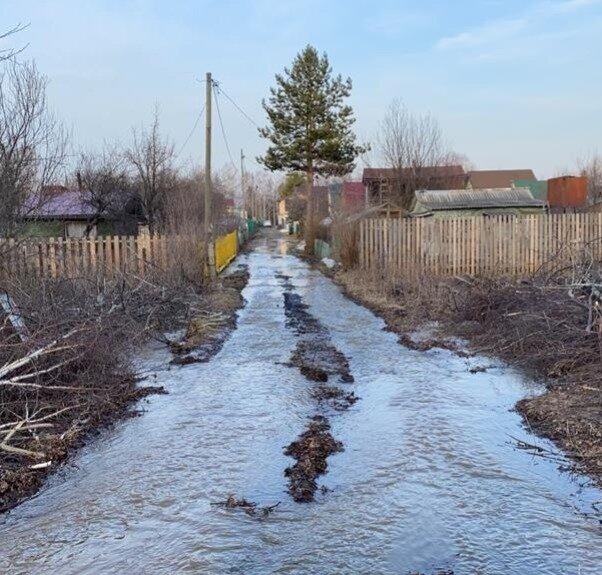 Фото: Союз садоводов Екатеринбурга