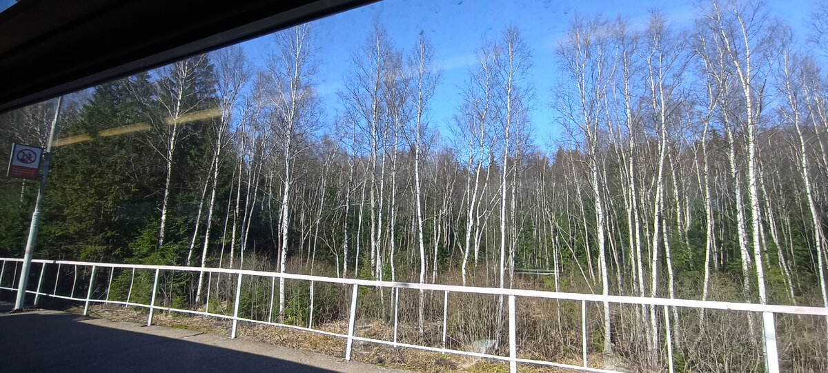 Где-то в Подмосковье. Вид на окружающую действительность из окна электропоезда МСD 2. Фото автора.