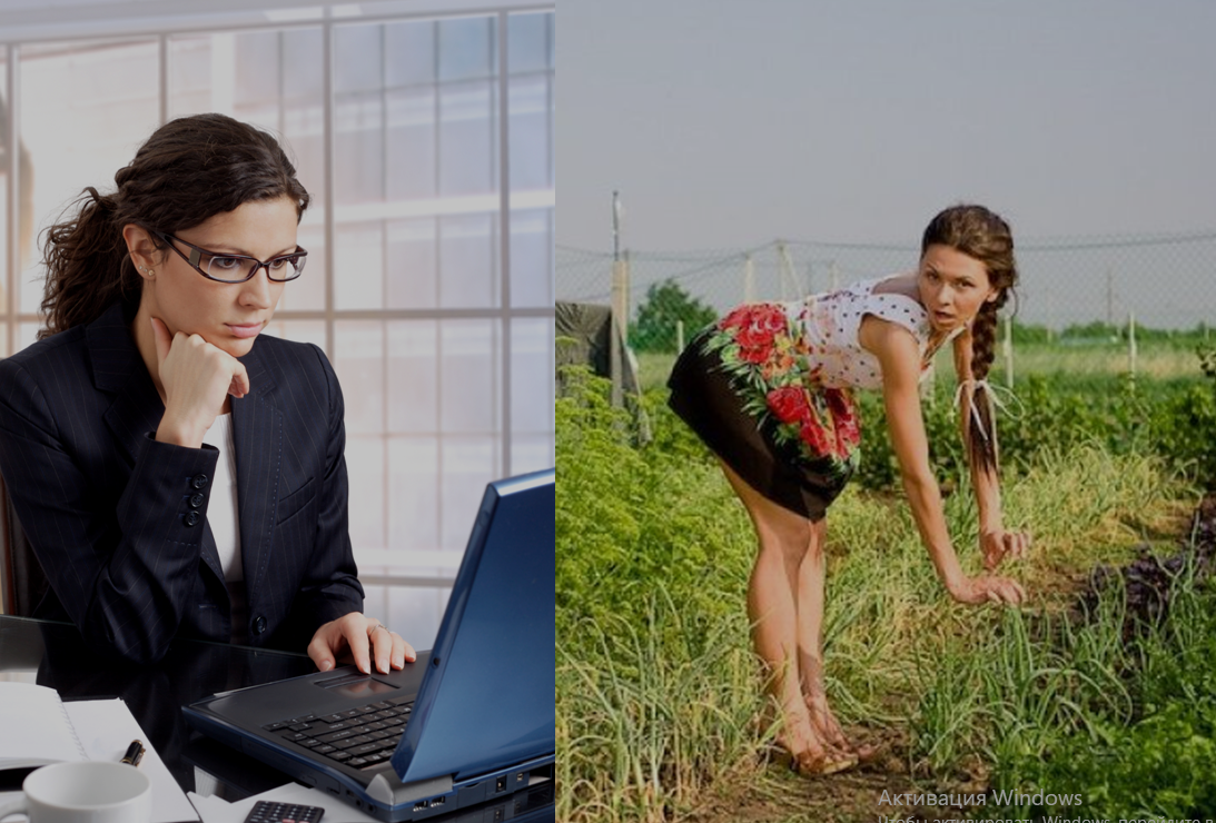 Фото из свободных источников сети интернет 