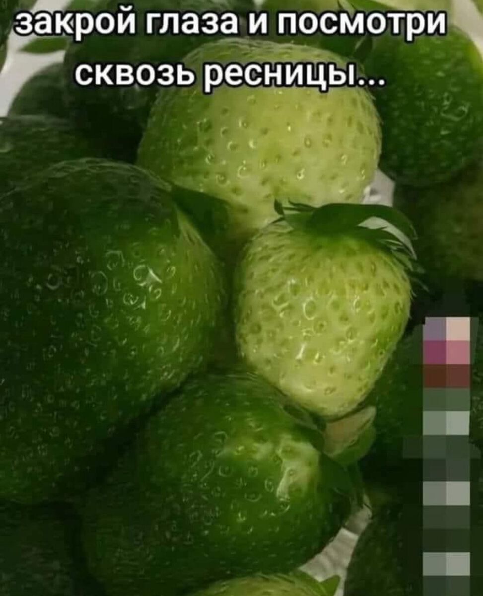 Источник: Яндекс Картинки