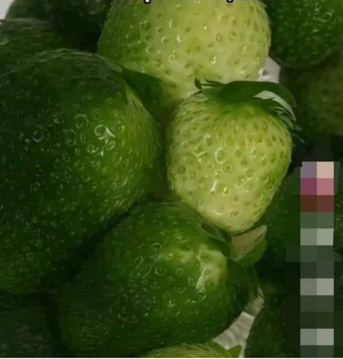 Источник: Яндекс Картинки