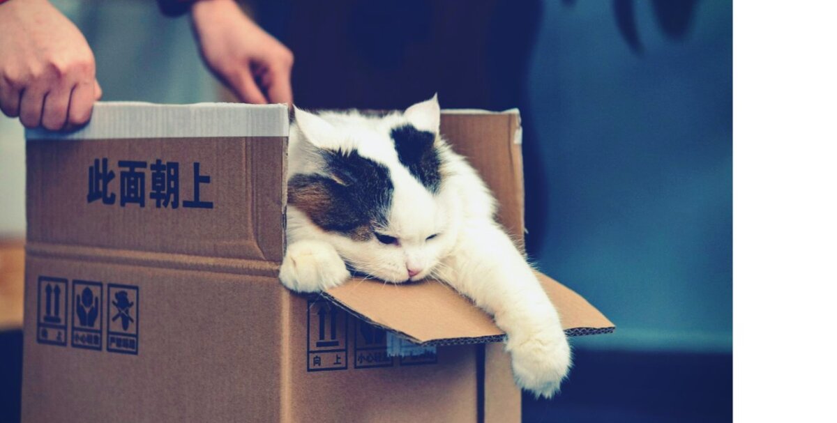 Ситуация в сфере сервисов доставки: что это за работа и кому подходит, как устроиться в доставку курьером.