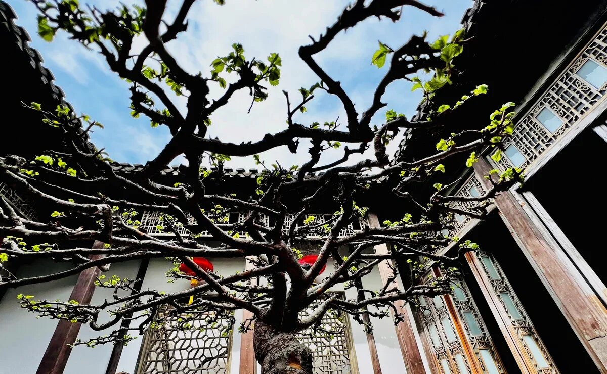    Современные и оригинальные: обзор отелей древней китайской провинции Цзянсу