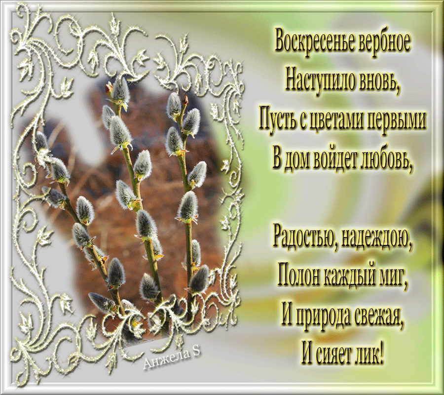 фото Яндекс.