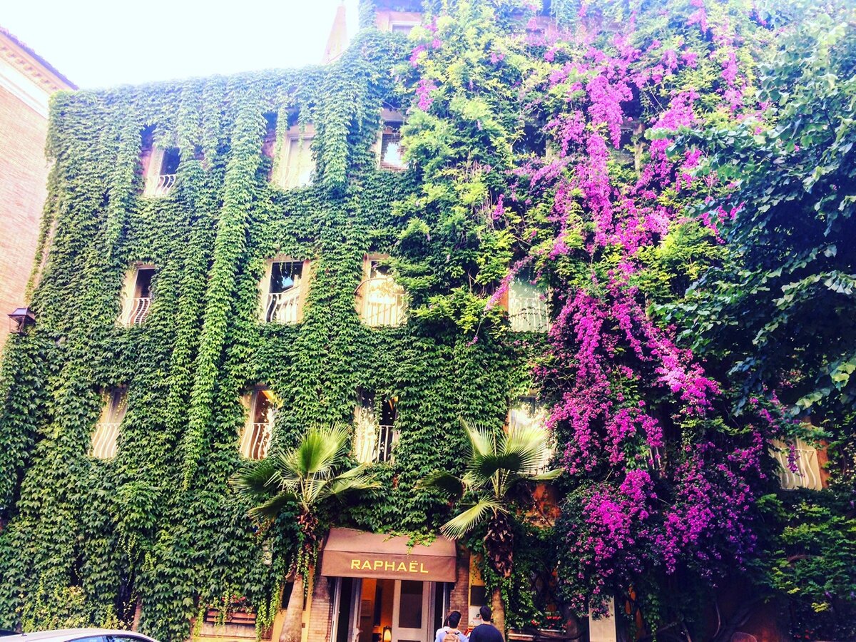 Еще один дом, захваченный растениями, но выглядит красиво. 