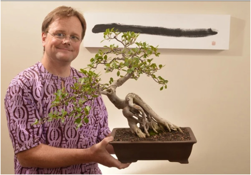 https://www.bonsaitree.co.za/blogs/tree-talk/south-african-bonsai-artists