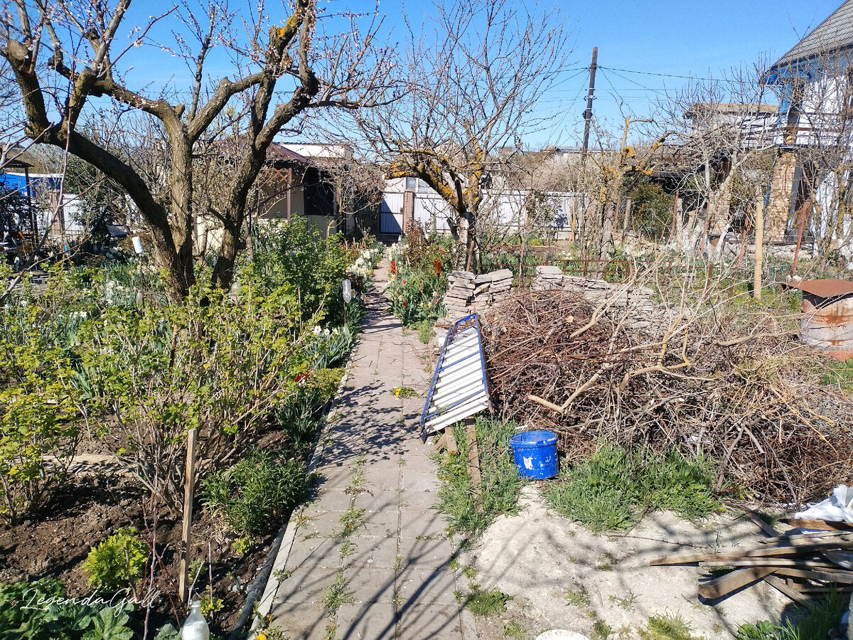 Центральная дорожка, вдалеке белое море