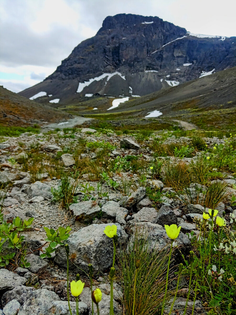 Национальный парк Хибины. Июнь 2023