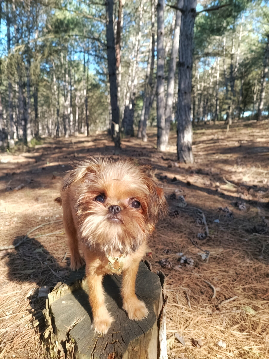 Здравствуйте! 