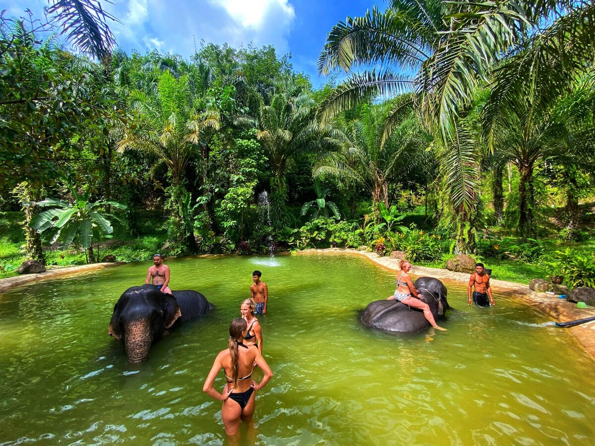 Экскурсия КАО ЛАК САФАРИ экскурсия на Пхукете с VIP travel