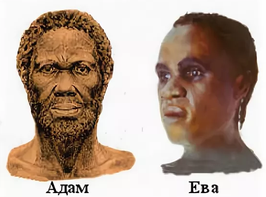 А был ли у всех современных людей один общий предок, типа генетических Адама и Евы?