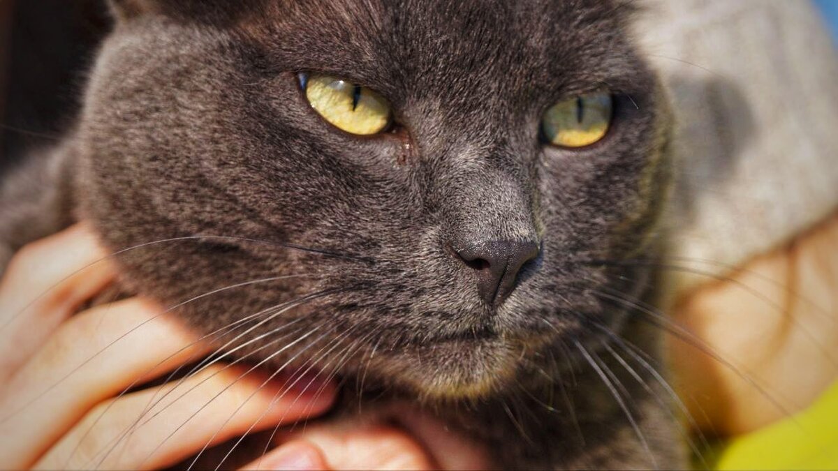 Съем, съем и глазом не моргну!