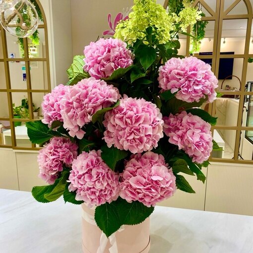 Композиция из гортензий в шляпной коробке