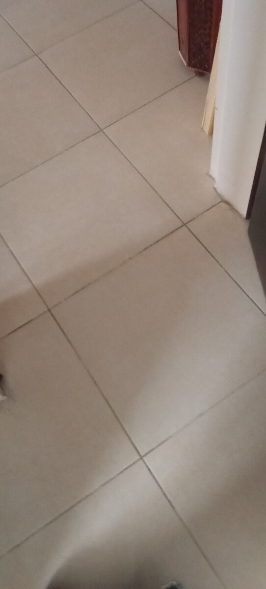 Где-то там должны были возиться маленькие принц и принцесса. Или это дети известного лейтенанта?