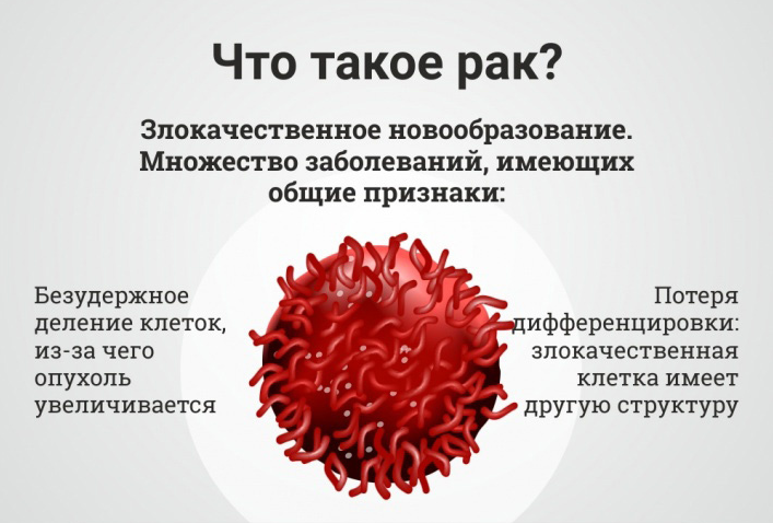Фото: cdn.iportal.ru