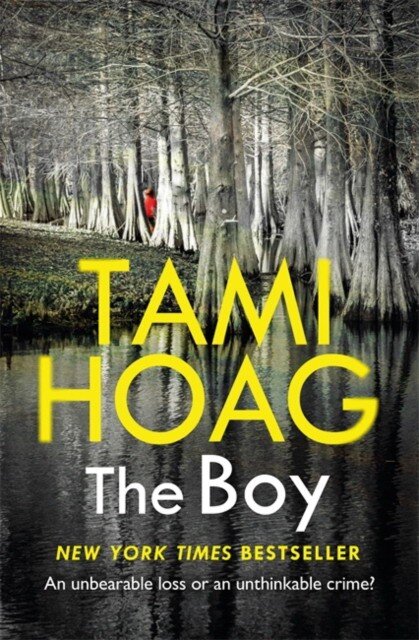 Обложка The Boy, Tami