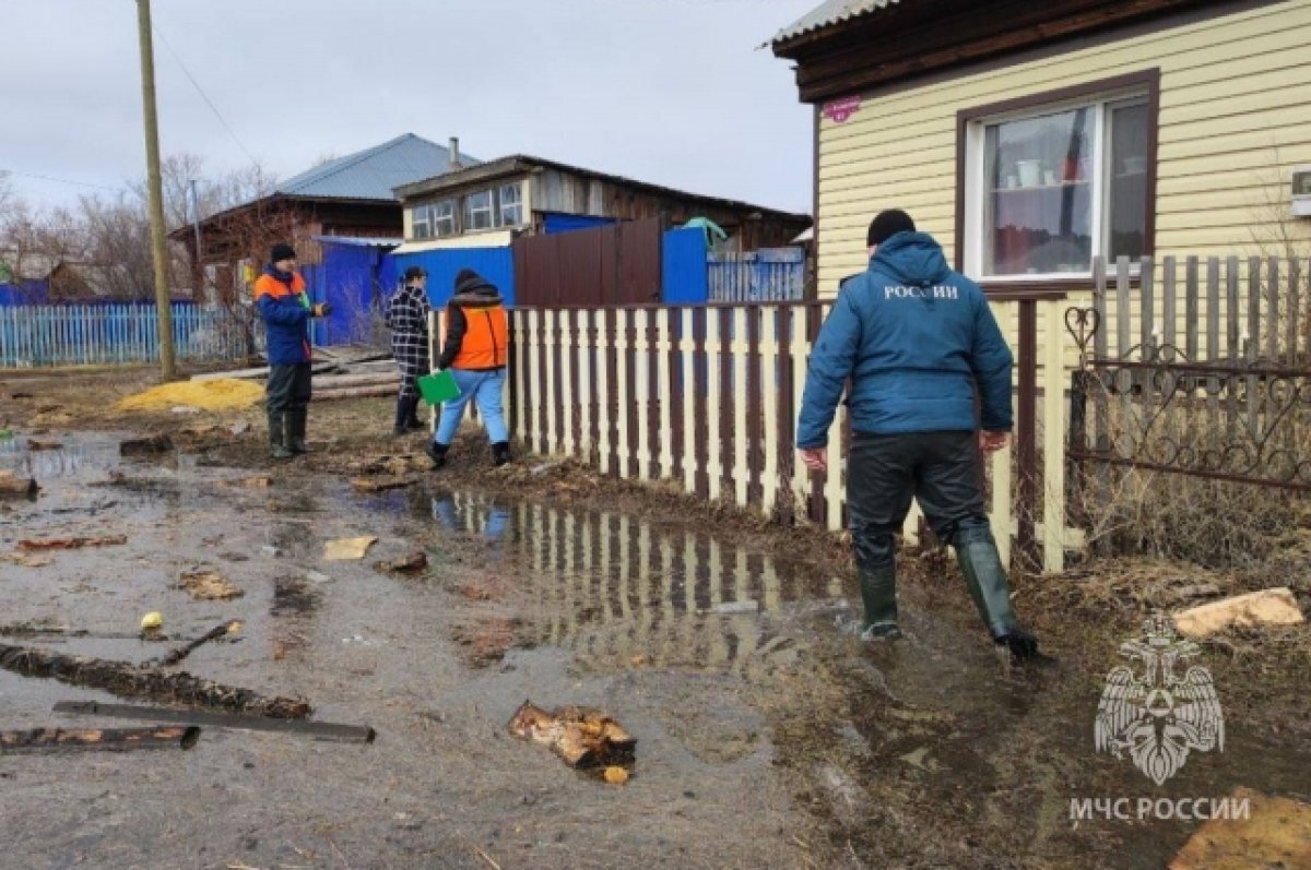 МЧС: в зону подтоплений попали более 6,8 тысячи жилых домов в 39 регионах |  Аргументы и факты – aif.ru | Дзен