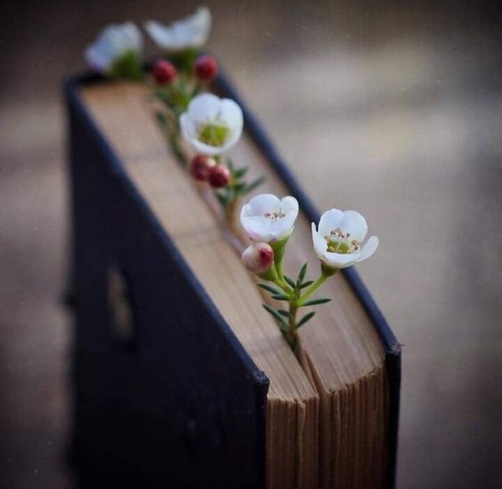 фото из общедоступных источников 