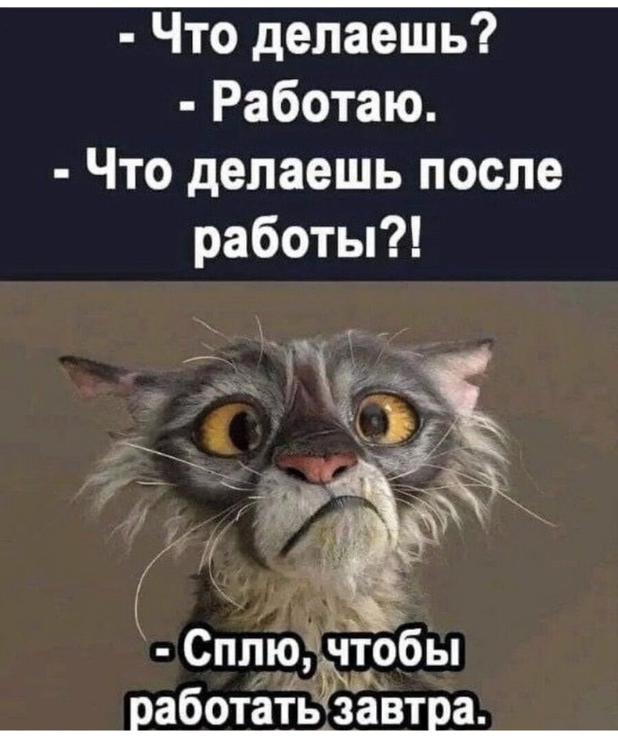 Работа занимает всего-лишь 90% жизни, зато потом будет вечный покой |  Толстяк из Москвы | Дзен