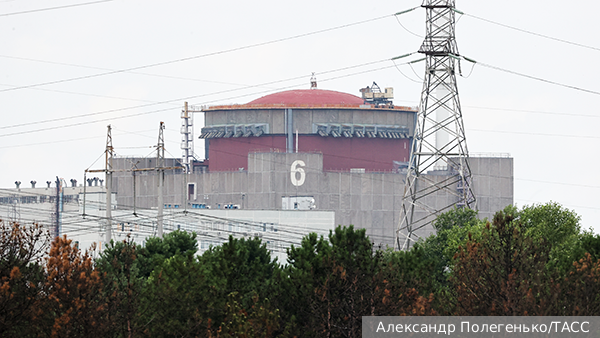     Фото: Александр Полегенько/ТАСС   
 Текст: Олег Исайченко