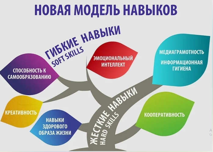 3нания ,умения ,навыки. Этапы формирования навыков и умений. Формирование гибких компетенций. Навыки ведения успешных переговоров. Навыки ведения деловых переговоров.