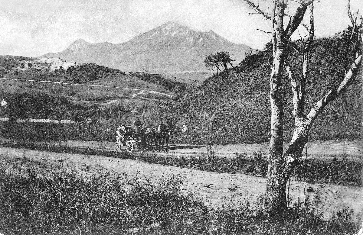 Район Перкальского питомника, слева видна караулка, начало ХХ века (фото из интернета)