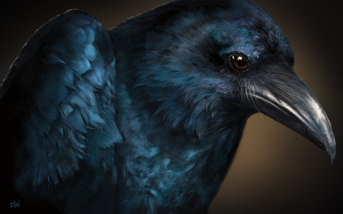 фото из открытого источника joyreactor.cc