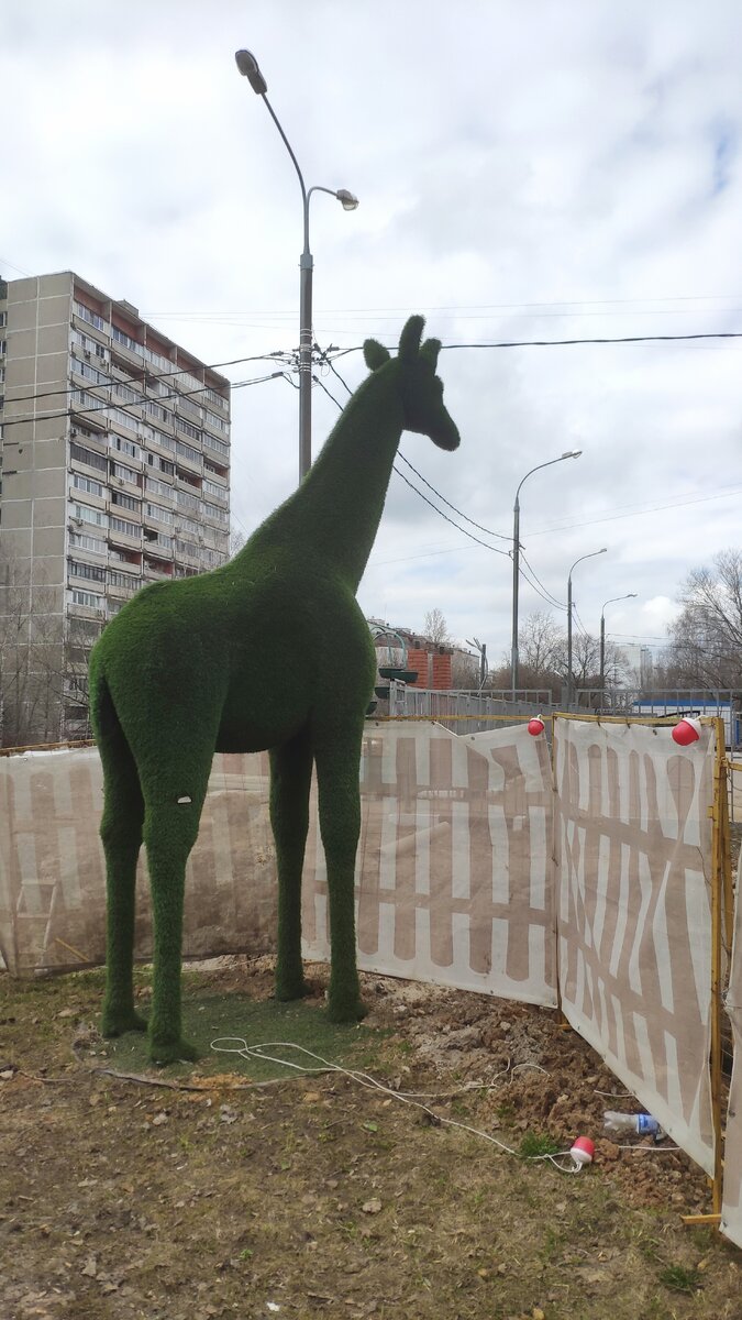 Московские жирафы