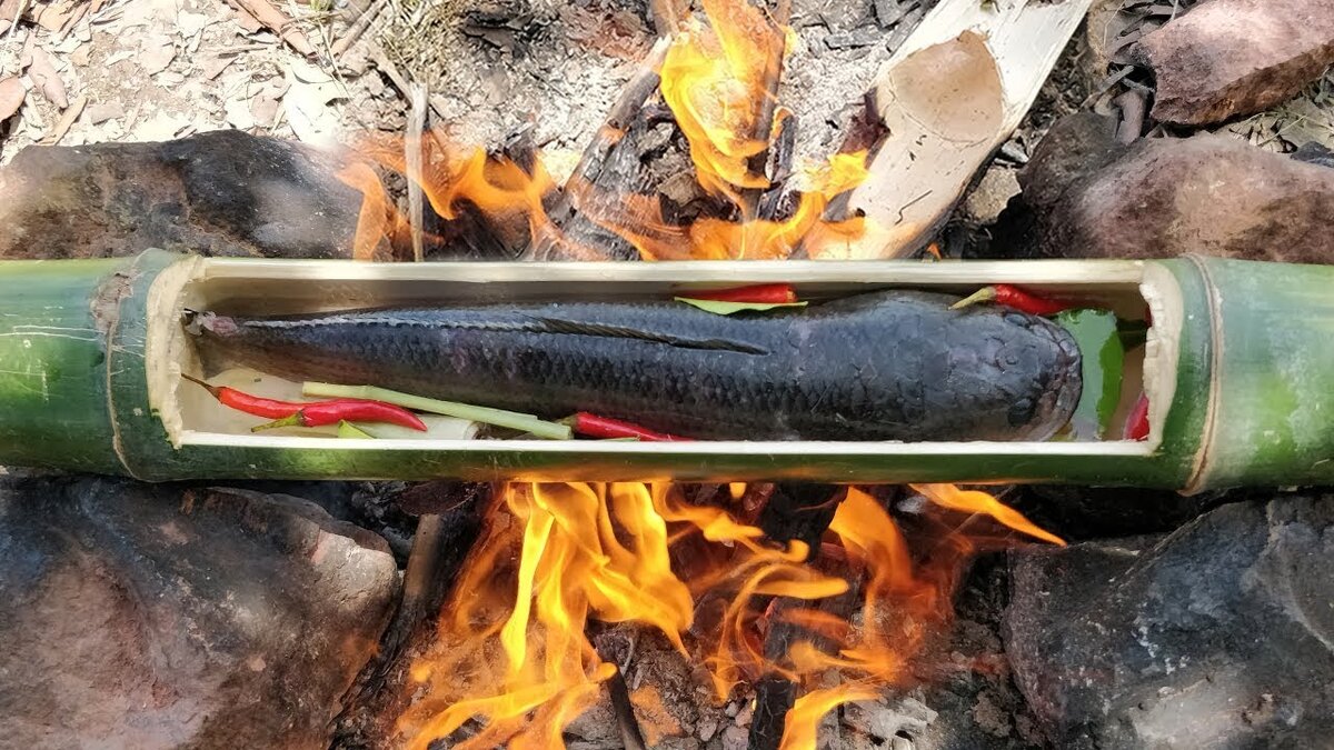 Сом в бамбуковой трубке. 