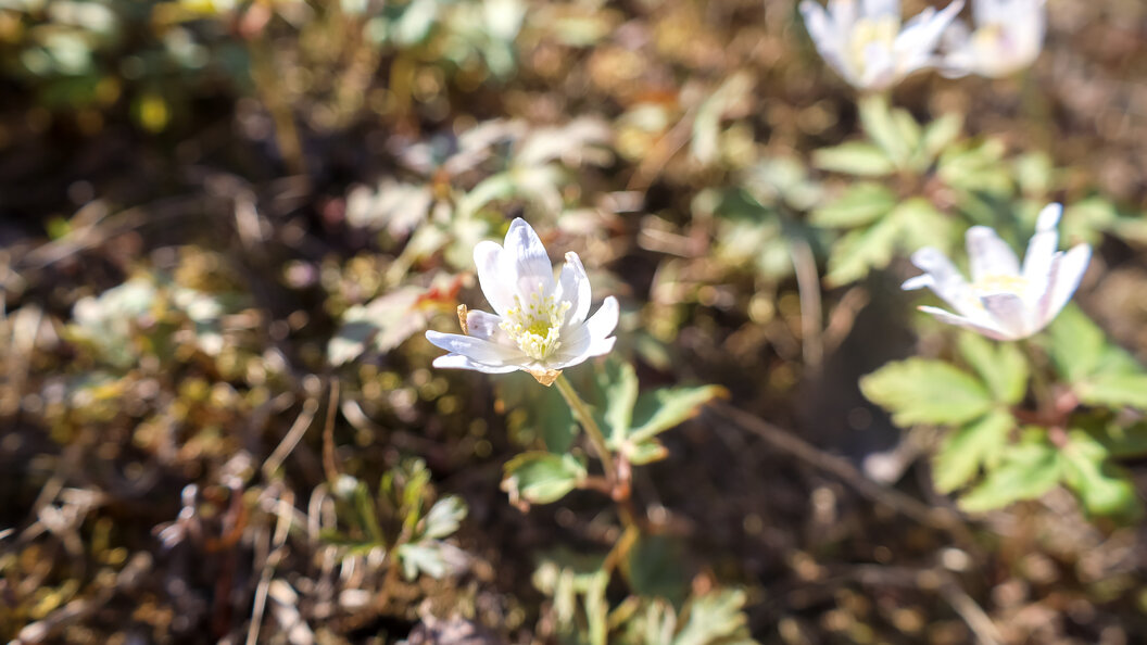    Elena Mayorova/Globallookpress