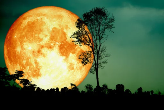  Движение луны и затмение - два из самых удивительных явлений, которые мы можем наблюдать на небосклоне.