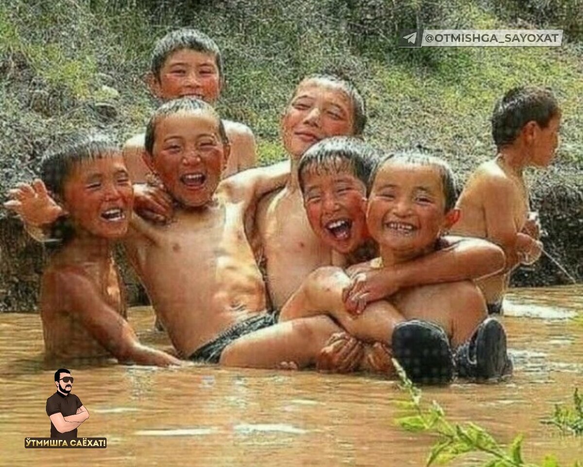 dzen.ru/id/6605af233de7862a7058c718?share_to=link