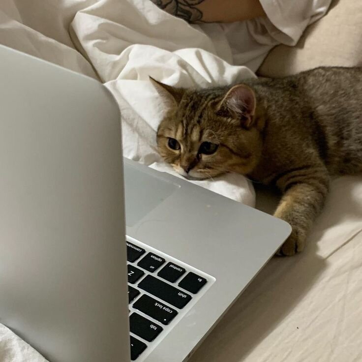 Так выглядит СММщик у которого нет клиентов и сейчас мы это исправим :) 