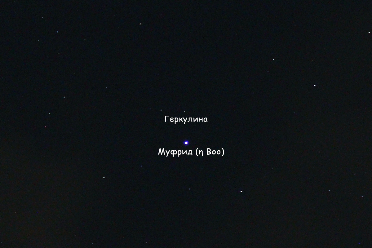 (532) Геркулина и звезда Муфрид из созвездия Волопаса в апреле 2024 года, фото автора 