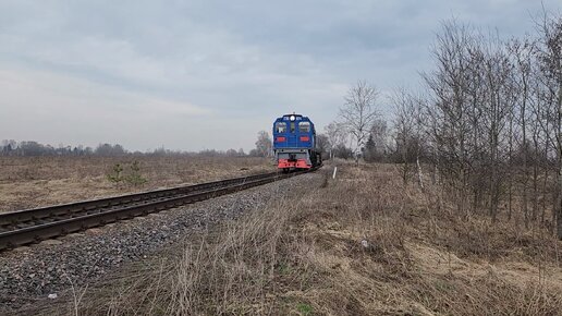 ТГМ6В-0074 едет резервом по Купавинскому ППЖТ.