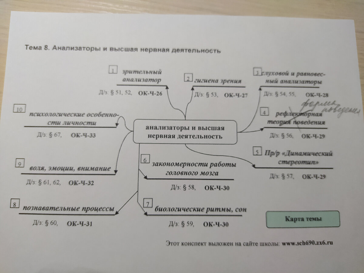 Уроки биологии в школе. Зрительный анализатор | Елена Сова: пуд соли в  школе | Дзен