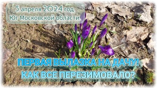 Первая вылазка на дачу 2024 // Как все перезимовалр?