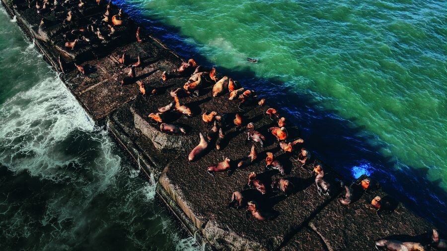 фото: Юлия Гуслякова